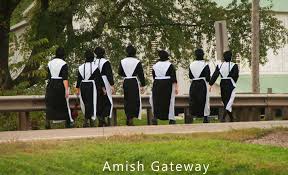 Image result for amish dress
