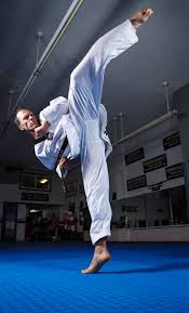 Image result for North Wilts Taekwondo