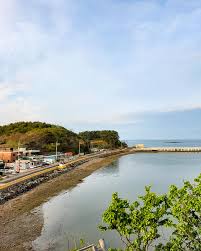 Resultado de imagen para Yeonpyeong