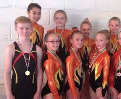 Image result for Kestrel Gymnastic Group