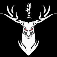 Image result for Bytomic Tae Kwon Do Bracknell