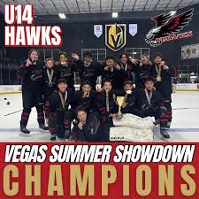 Image result for West Coast Wasps Skater Hockey Club