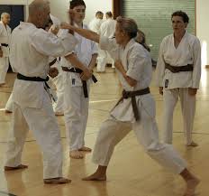 Image result for Haslemere Karate Club