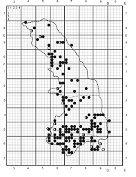 Attēlu rezultāti vaicājumam “Rubus plicatus”