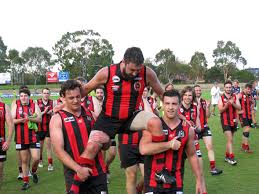 Image result for Rostrevor Hurling Club