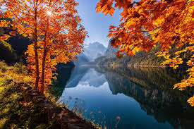 Bildergebnis für Fall…