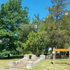 Image result for Thorn Park L T C