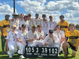 Image result for Mitcham Cricket Club
