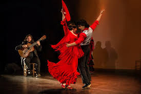 Image result for Flamenco Dance School
