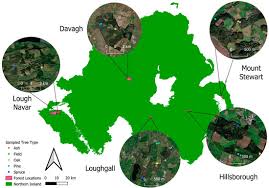 Image result for Wood Green A F S Association