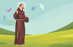 Image result for foto são francisco