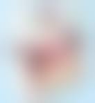 「塔原直哉 ロッテのおもちゃ!」の画像検索結果