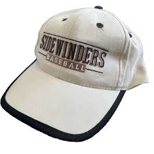 Image result for Sidewinders Baseball Club
