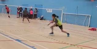 Image result for North Yorkshire Youth Badminton Club