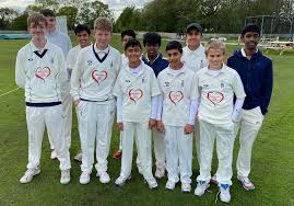 Image result for Bramhall Cricket Club