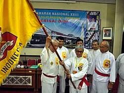 Image result for Silat Pd (Perisai Diri) UK