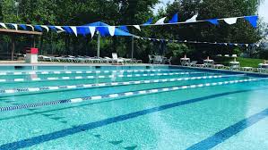Image result for Trowbridge Swimming Club