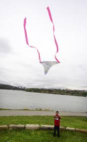Image result for Brighton Kite Fliers