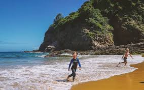 Image result for Jersey Sub Aqua Club