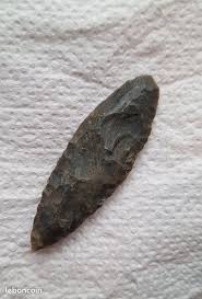 Image result for feuille-laurier-silex