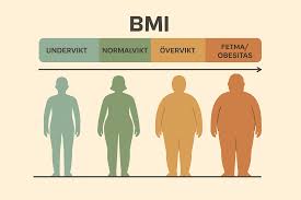Bildresultat för bmi-tabell