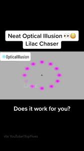 Image result for Lilac Chaser