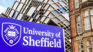 Image result for Sheffield University