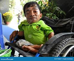 Image result for агент оранж