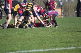 Image result for Yatton R F C