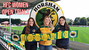 Image result for Hassocks Ladies FC