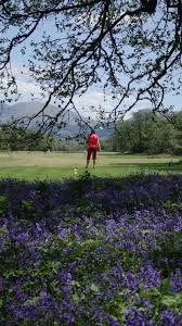 Image result for Dalmally Golf Club