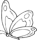 Borboleta