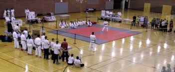 Image result for Tao So Choy Kung Fu Club, Hull