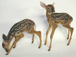 Deer Fawn, Deer Hooves, Velvet Antlers Taxidermy, Freeze-dry Preservation - 2fawn