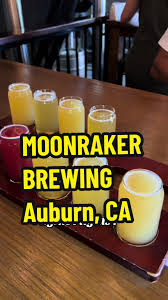 Image result for Moonrakers Sac