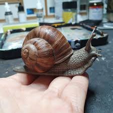 Attēlu rezultāti vaicājumam “Helix pomatia”