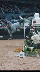 Image result for Liverpool Equestrian Club