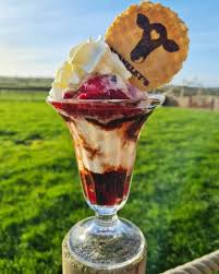 Image result for Buckminster Gliding Club Ltd