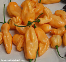 Afbeeldingsresultaat voor peach habanero hot pepper