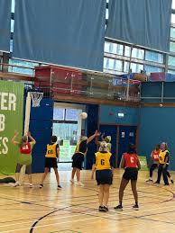 Image result for Crystal Palace Netball Club