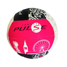 Image result for Hertford Hornets Netball Club