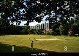Image result for Worplesdon & Burpham Cricket Club