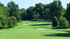 Image result for Mayfield Cricket Club