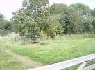 The Cherry Orchard. Part of the orchard donated at the same time as the - via Daymix