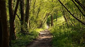 「ロラン・シュヴァリエ」の画像検索結果