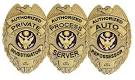 Professional Badges