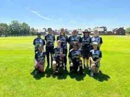 Image result for Moseley Ashfield Cc