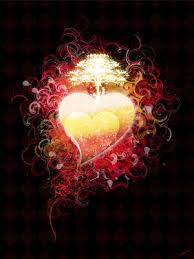 http://t0.gstatic.com/images?q=tbn:ANd9GcSuc9thfP2qlJCa2G7Pn8YnSKuCeMbZWAeMn_qdkjG5SNtWyiw
