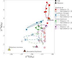 Image result for Sparisoma axillare