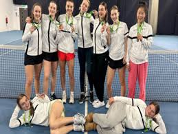 Image result for Pegasus (Sevenoaks) Badminton Club